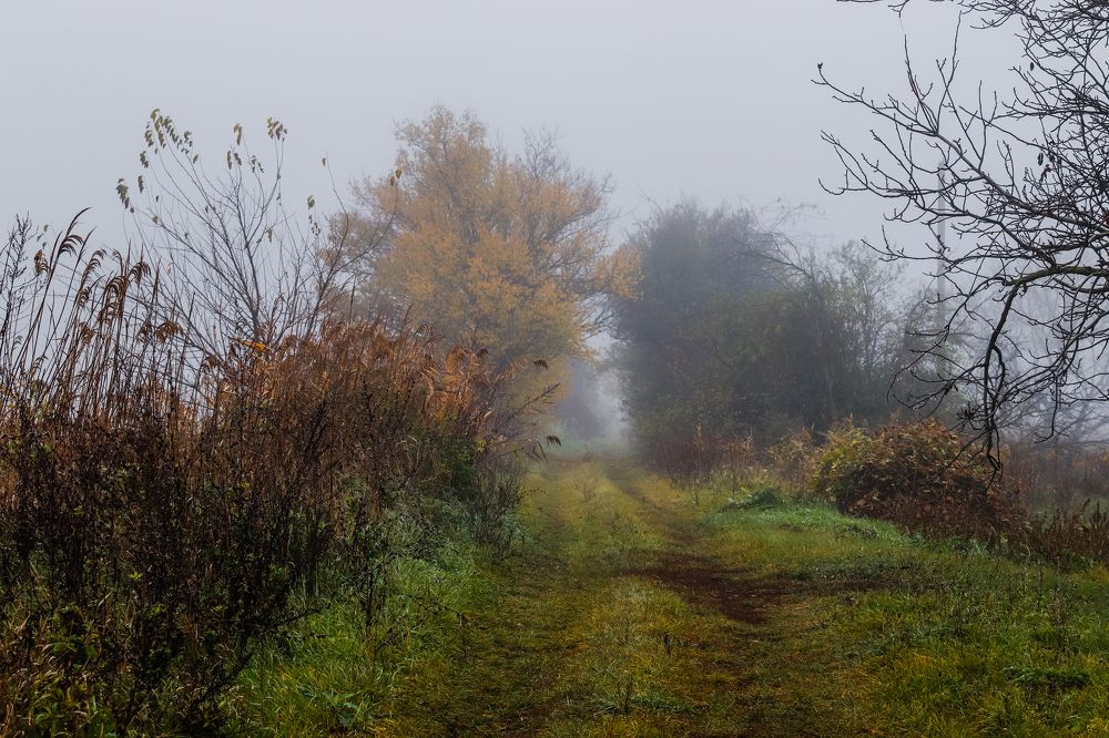 Photograph by Олег Башкуров