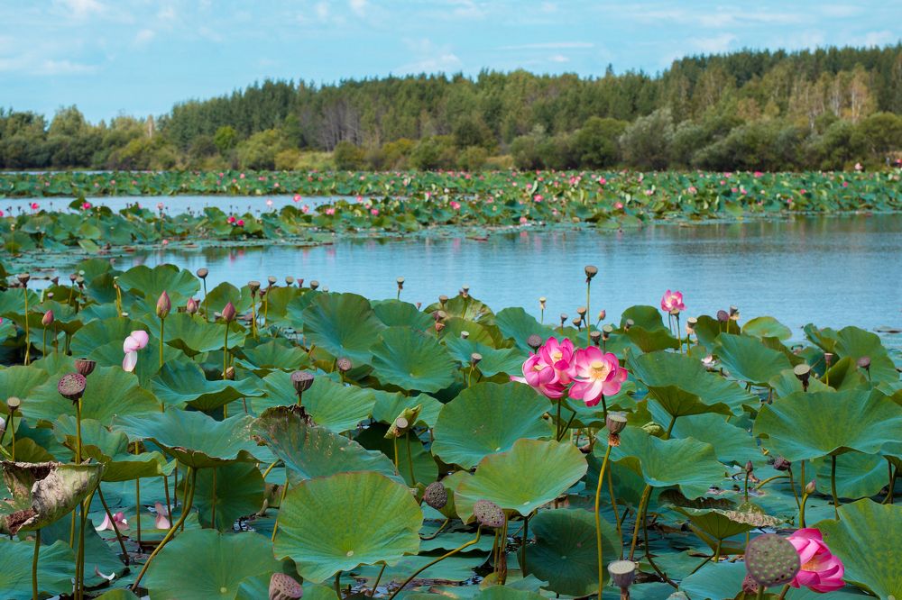 Photograph by Лидия Чурилина