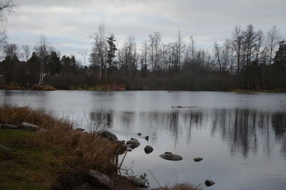 Photograph by Ольга Истомина