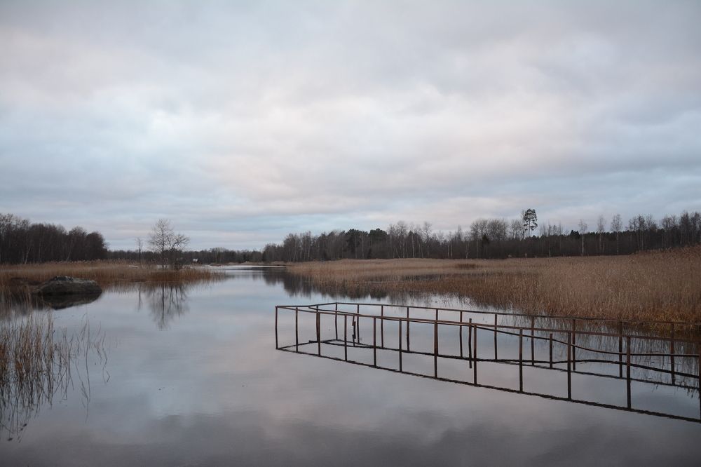 Photograph by Ольга Истомина