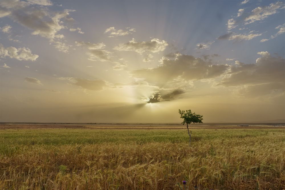 Photograph by Yahia Bathika