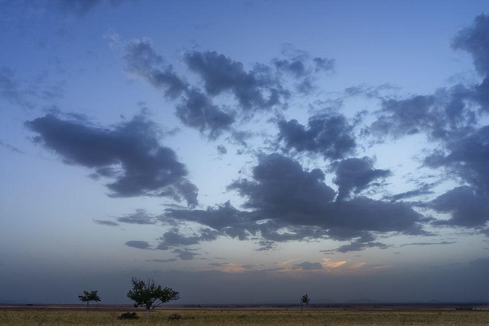 Photograph by Nassim Mohamed