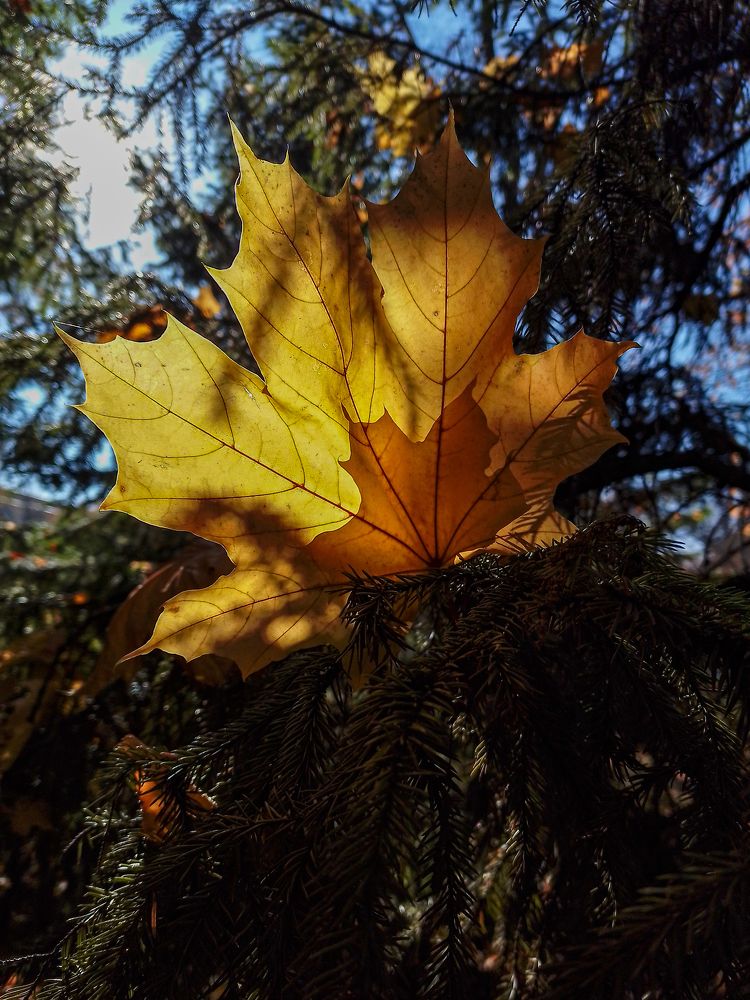 Photograph by Рина Хуртова