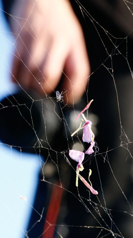 Photograph by Assal Mouadh