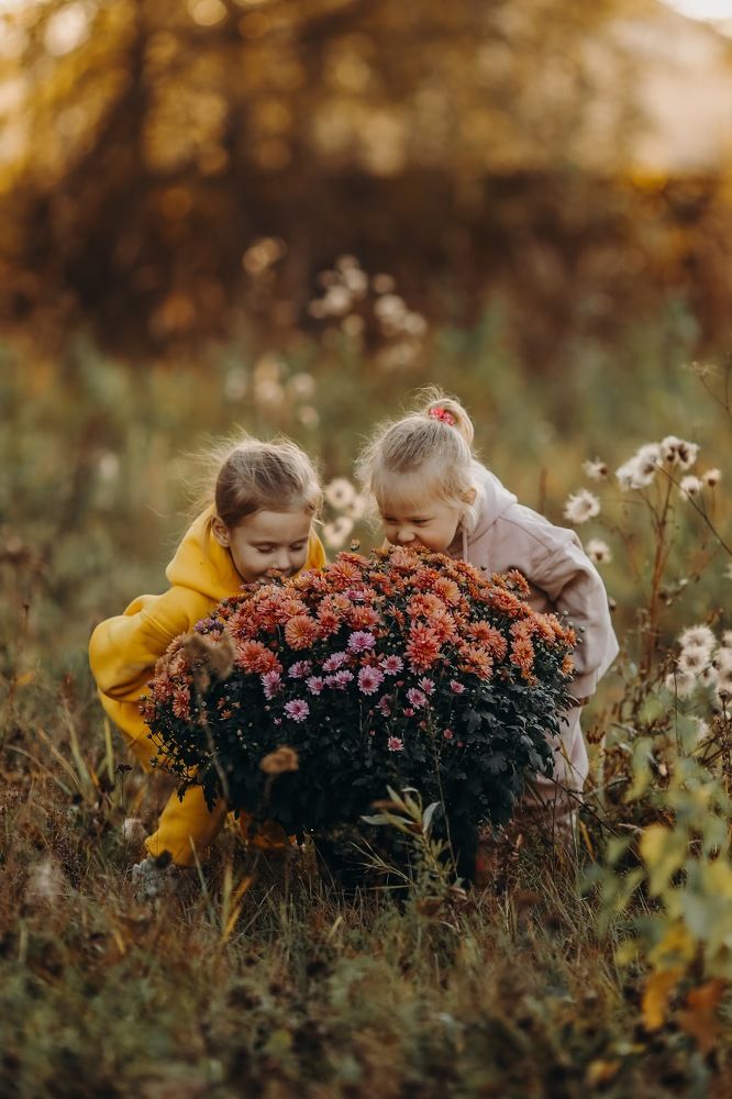 Photograph by Anna Mol