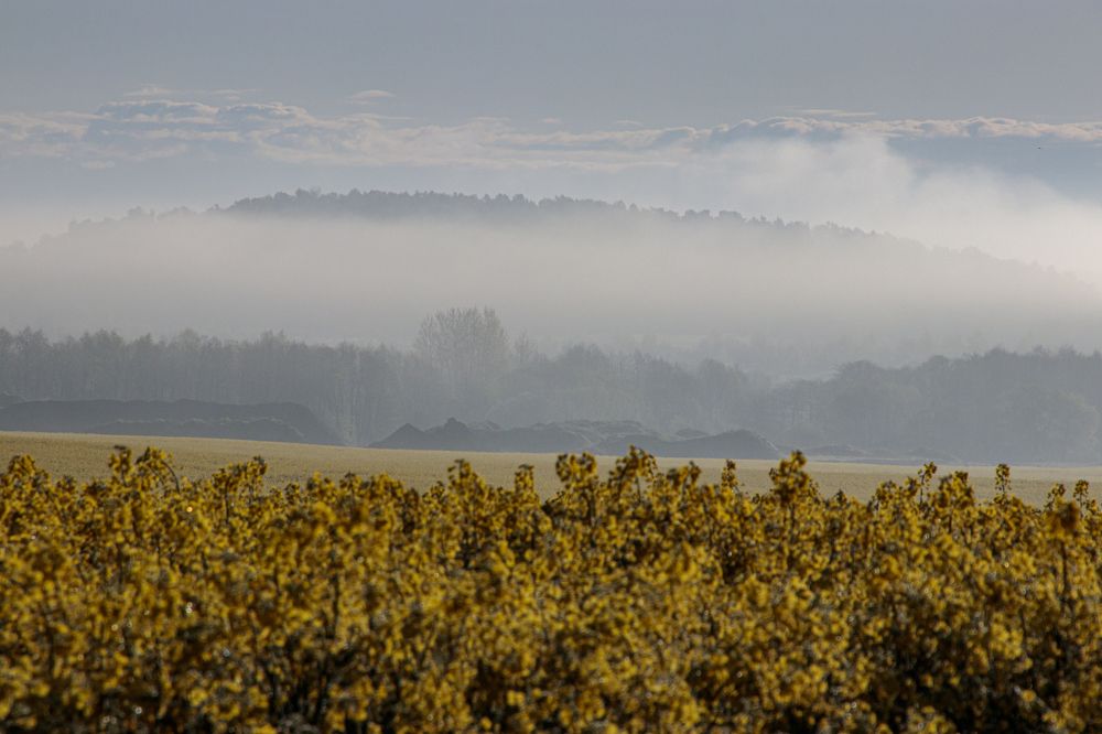 Photograph by Константин Чижов