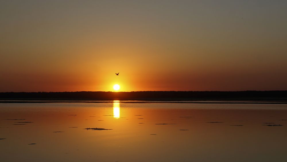 Фотография автора Эрнст Антонов