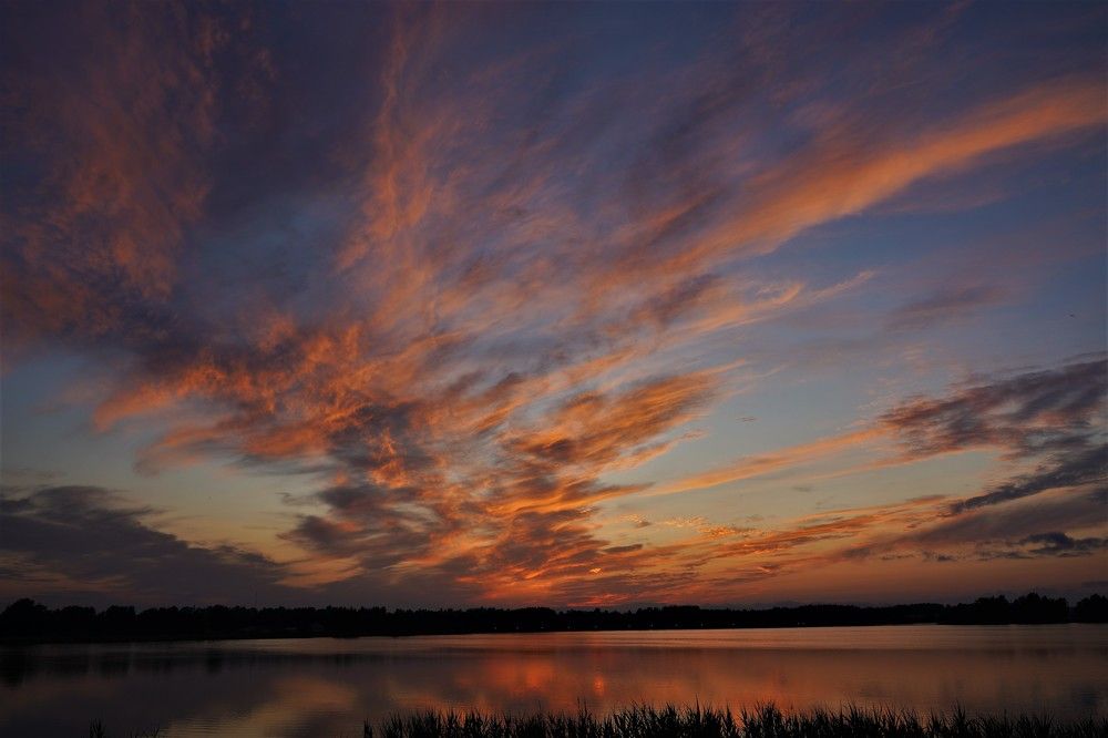 Фотография автора Ērika