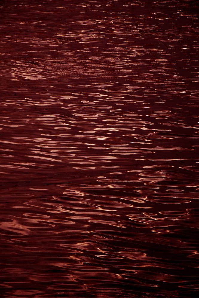 Photograph by Atefeh