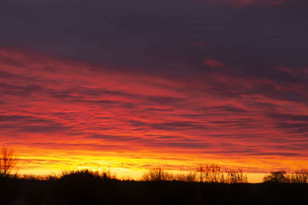 Photograph by Дарья Ващенко-Панкина