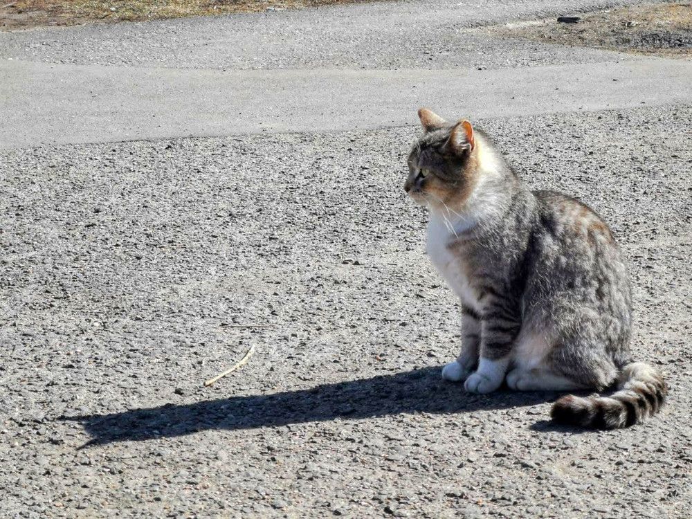 Photograph by Виталий Дорош