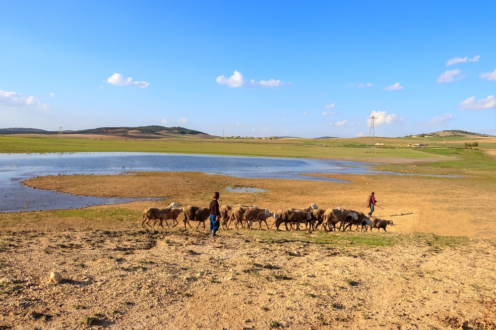 Photograph by Yahia Bathika