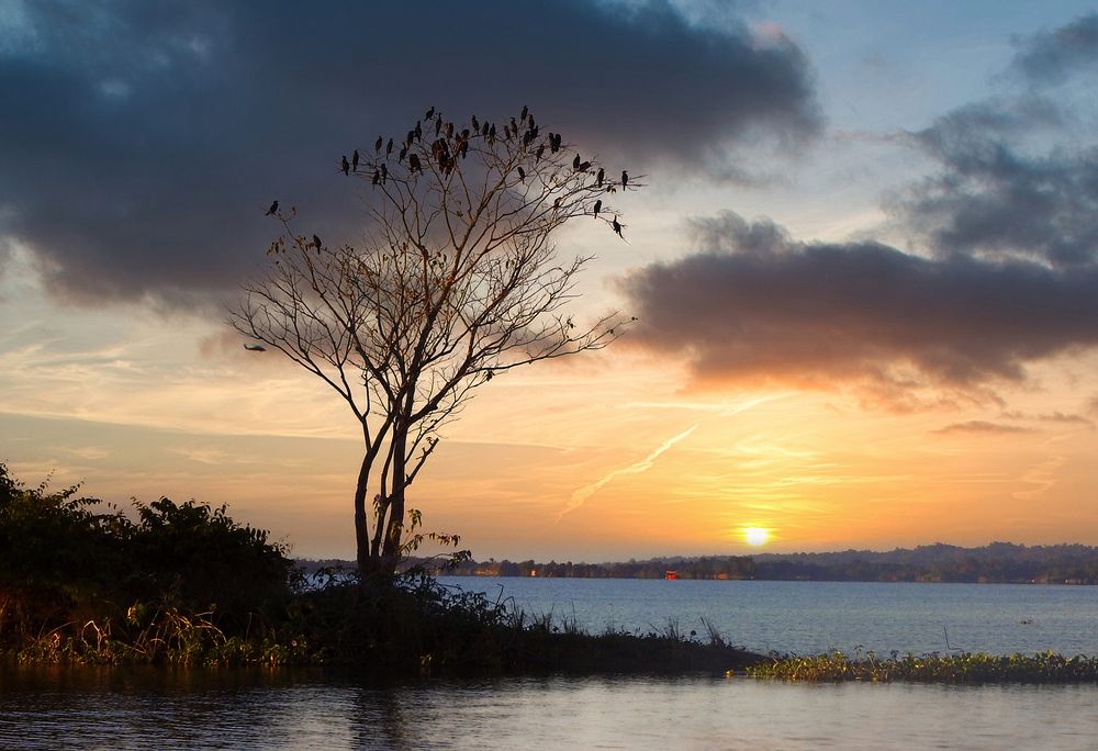 Photograph by Shibram Nag