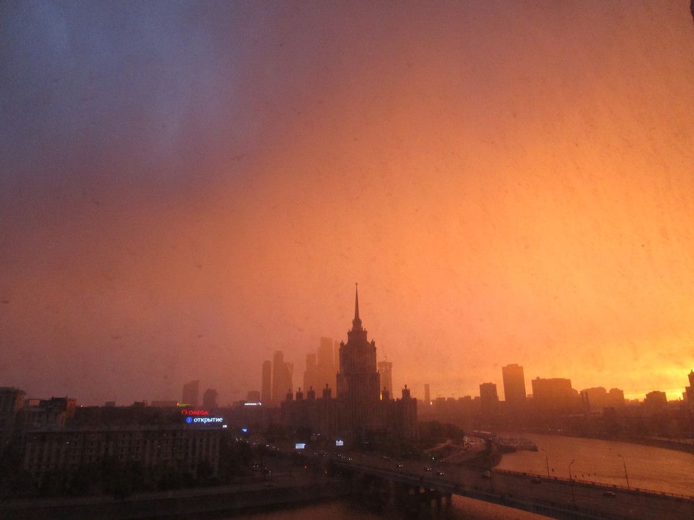 Photo #8390675