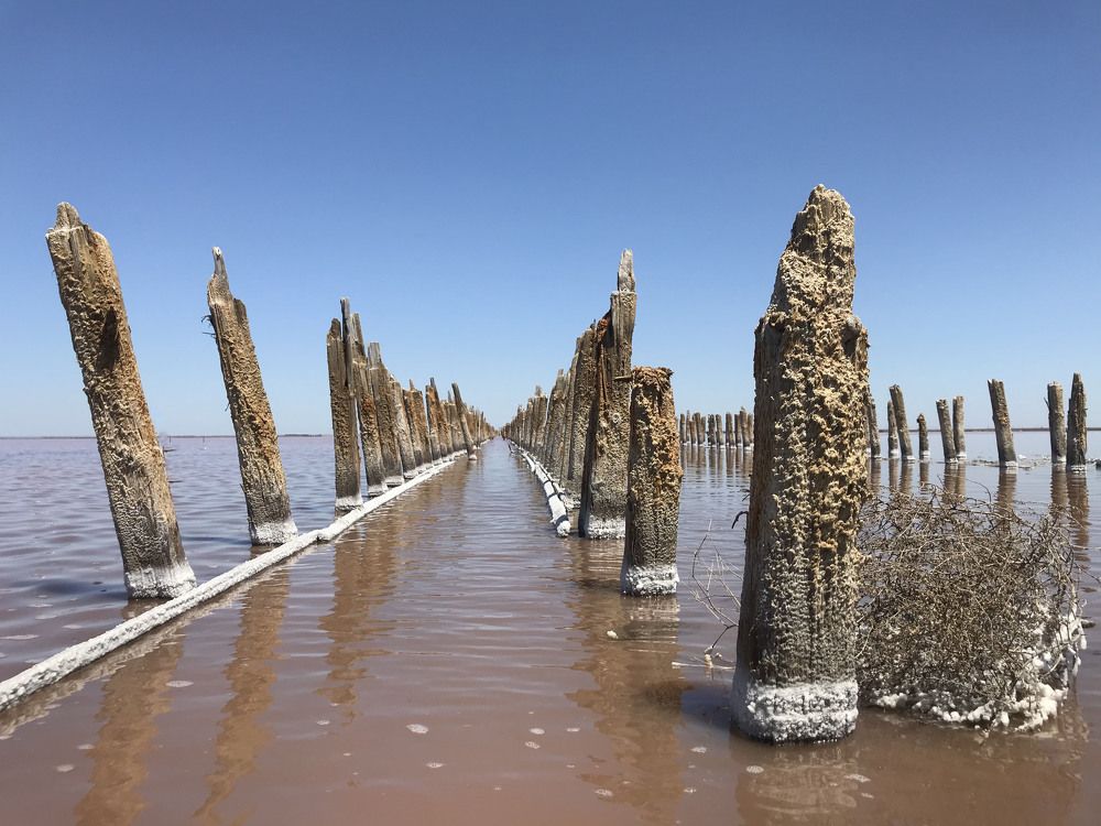 Photograph by Светлана Фесенко