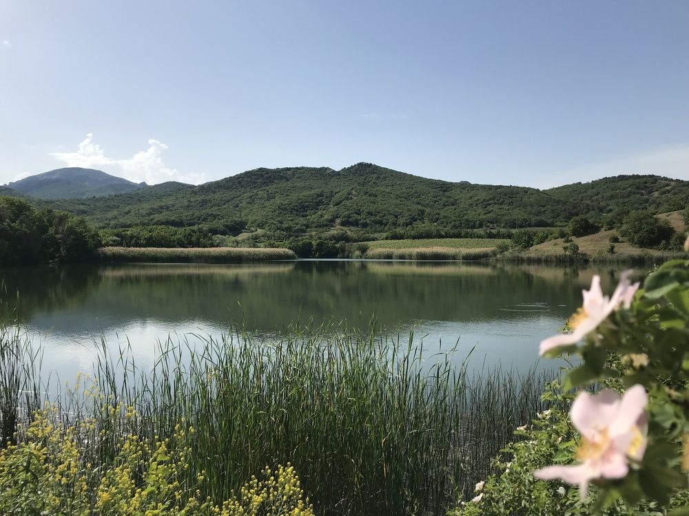 Photograph by Светлана Фесенко