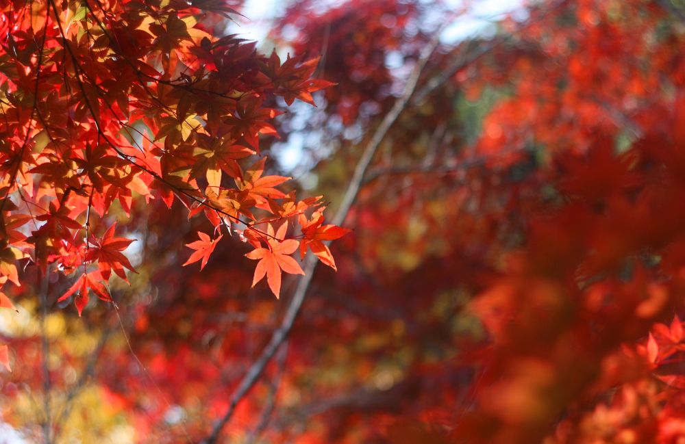 Фотография автора Наталья Белова