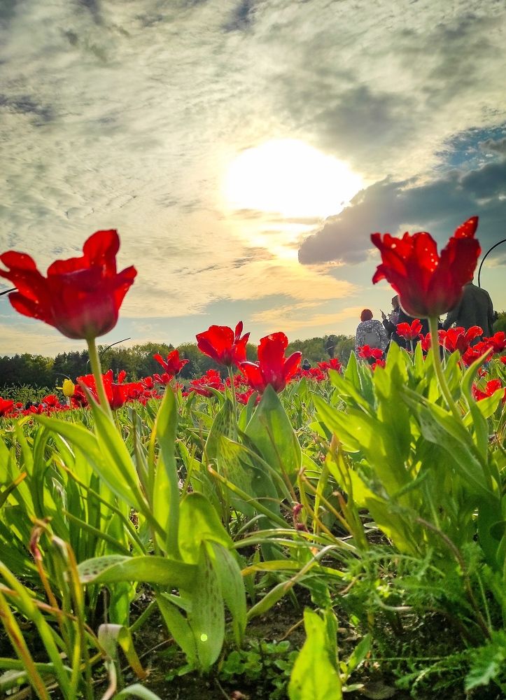 Photograph by Ксения Иванова