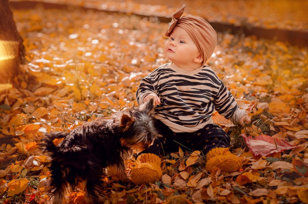 Photograph by Елена Смирнова