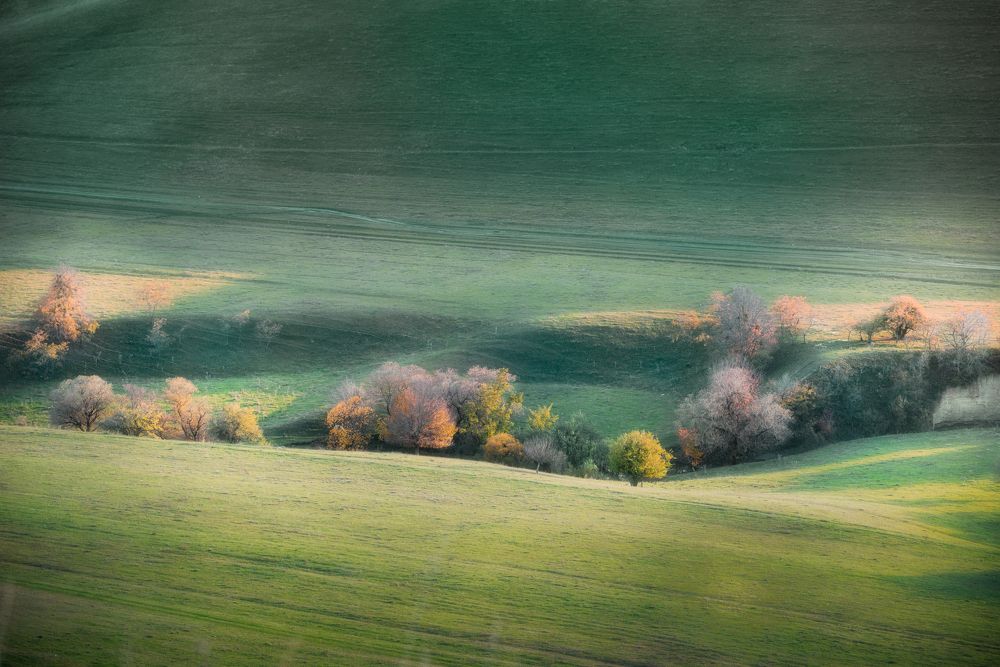 Photograph by Alexander Ornatskiy