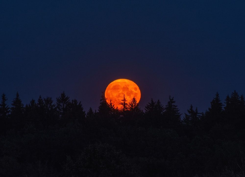 Фотография автора Андрей Врубель