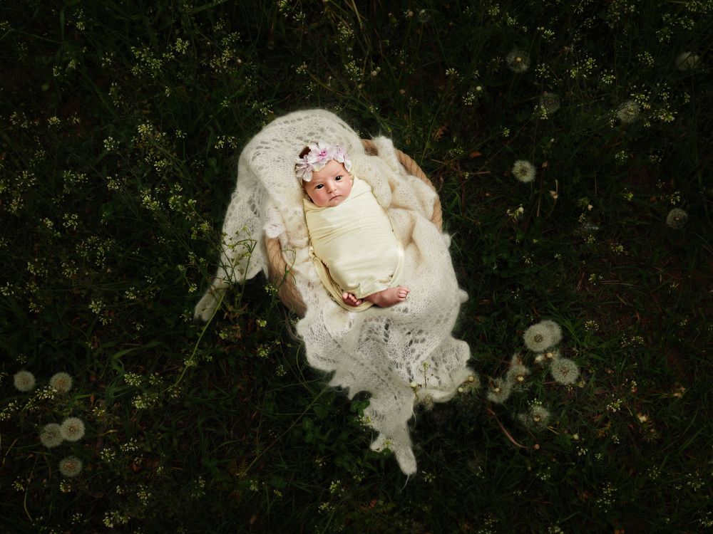 Photograph by Алена Горшкова