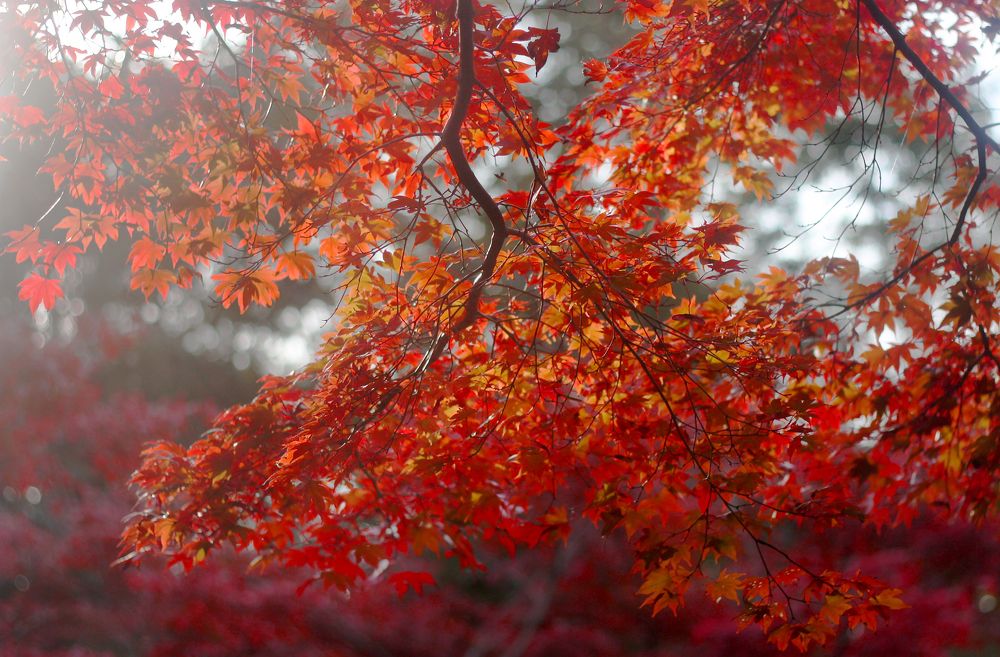 Фотография автора Наталья Белова