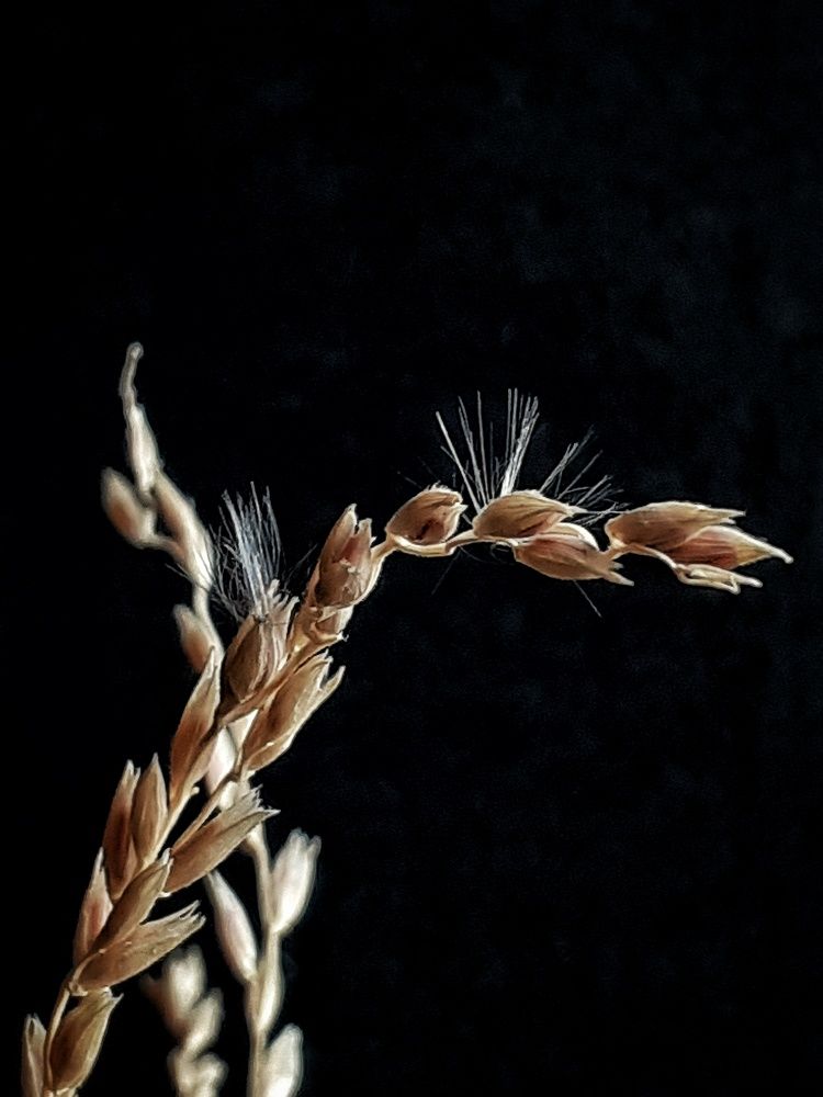 Photograph by Эмма Рахматуллина