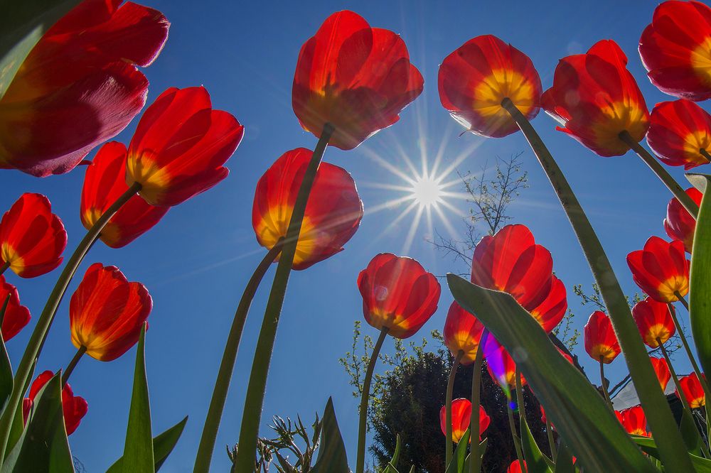 Photograph by Анатолий Плечистый