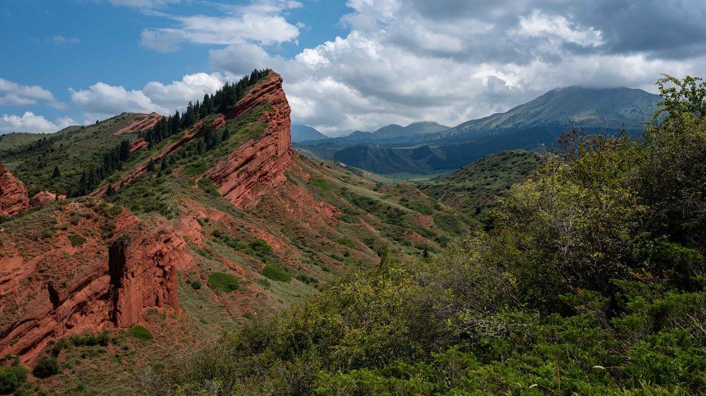 Photograph by Наталья Балеевских