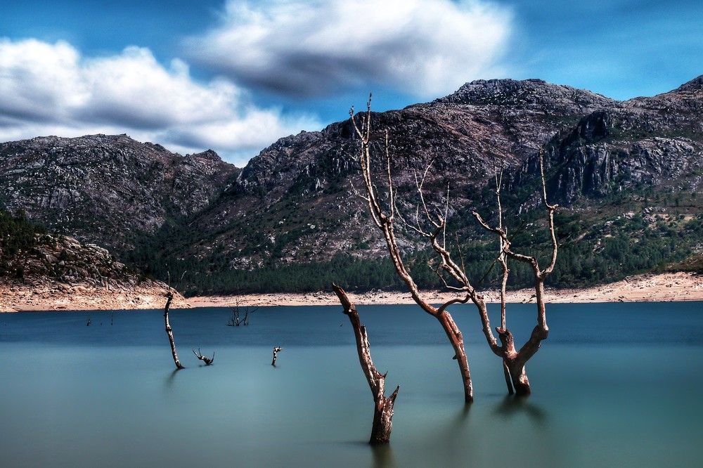 Фотография автора Nuno Pacheco