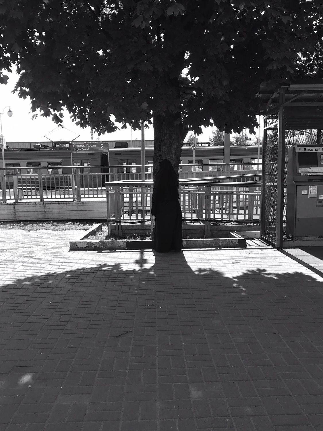Photo #8391008