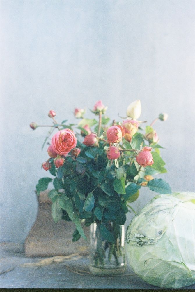 Photograph by Julius Stremsky