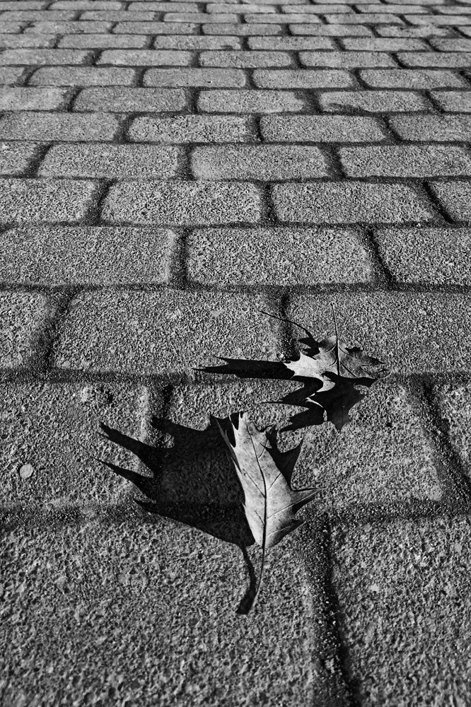 Photograph by Алеся Цеван