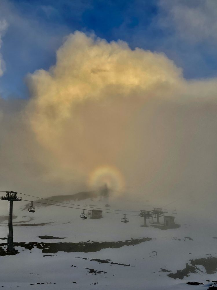 Фотография автора Юлия Недосекина