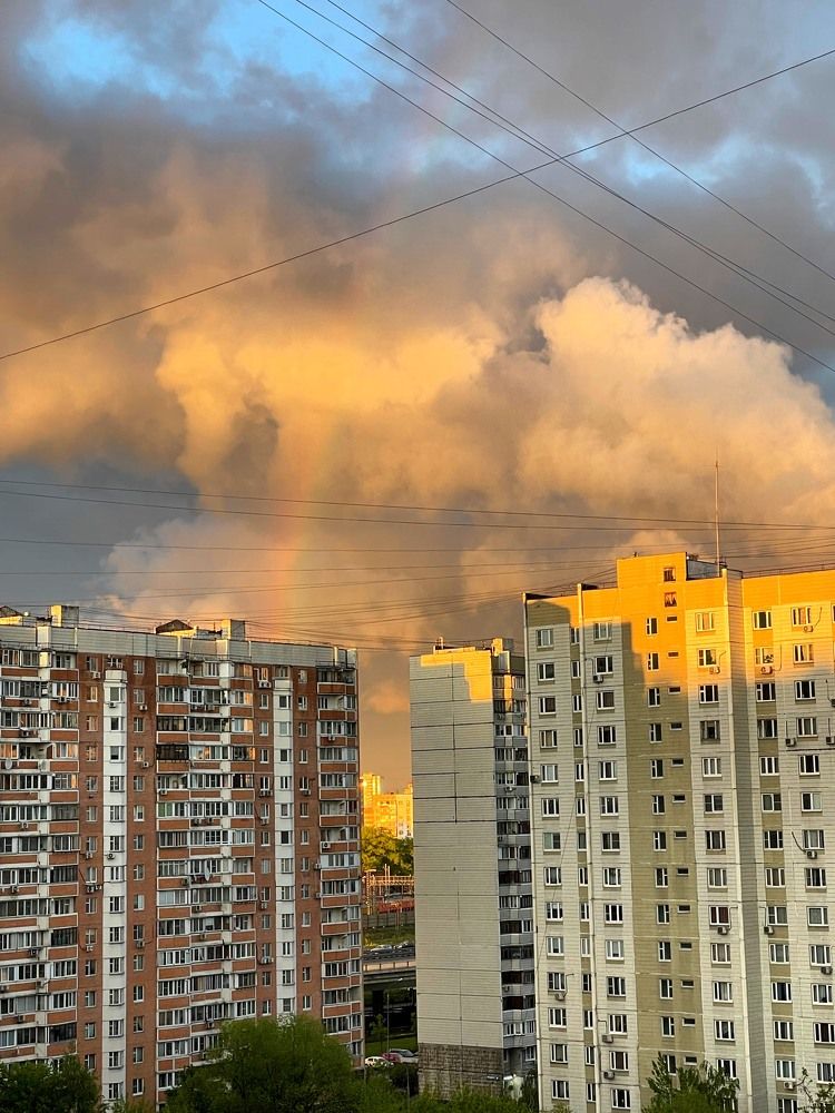 Фотография автора Юлия Недосекина