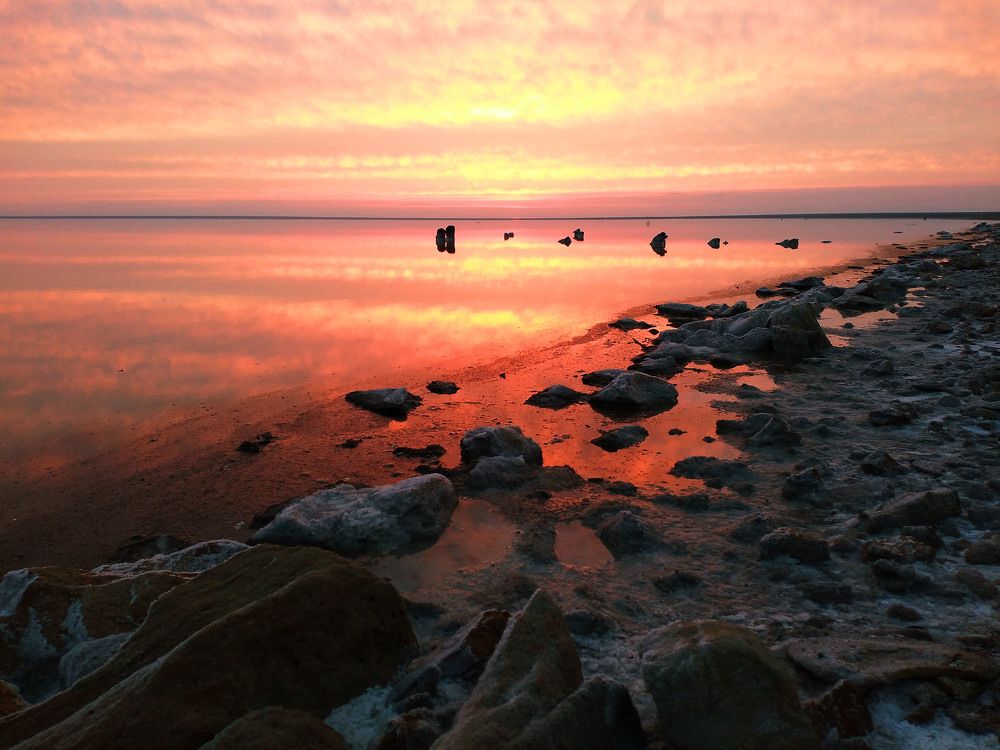 Photograph by Максимова Ирина