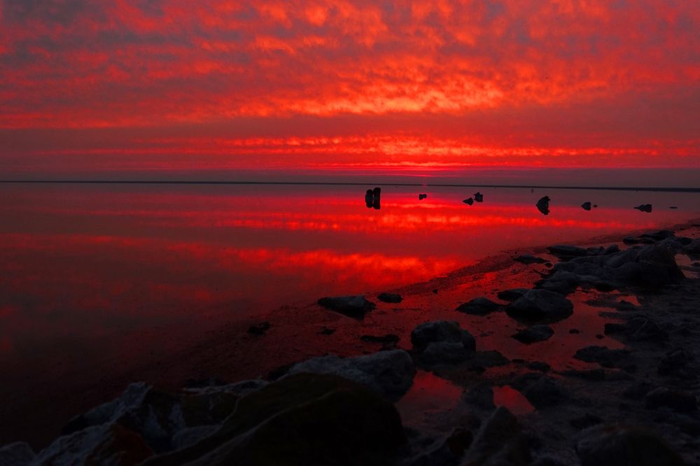 Photograph by Максимова Ирина