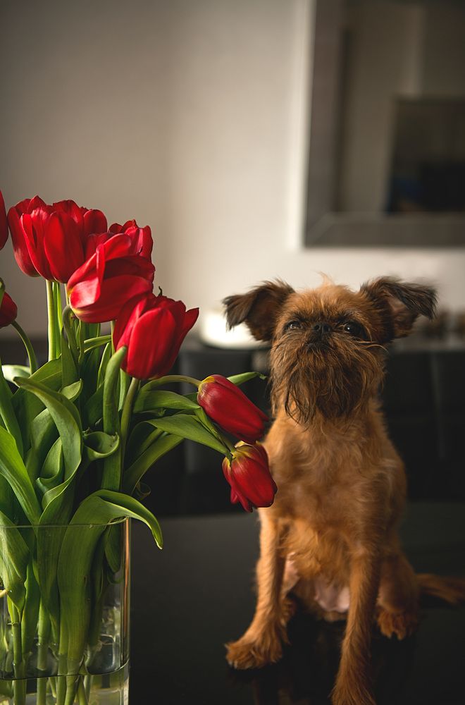 Photograph by Светлана Ермакова