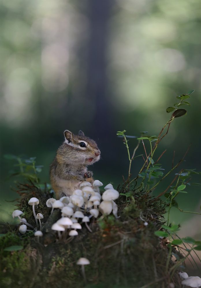 Photograph by Евгения Левина