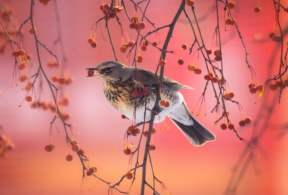 Photograph by Александр Чазов
