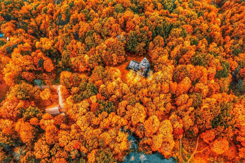 Photograph by Паша Савельев