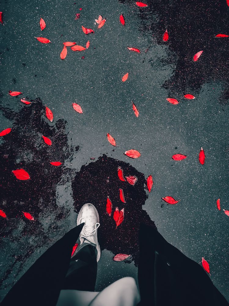 Photograph by Сергей Антонов