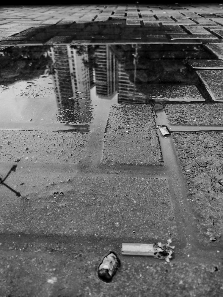 Photograph by Carlos Orozco Carlos Orozco bass