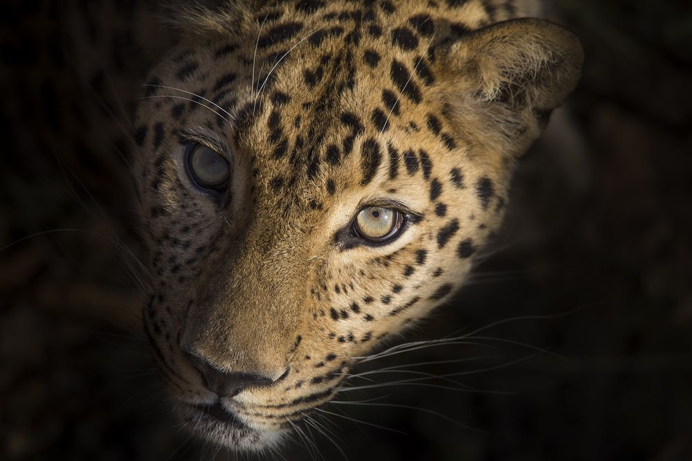 Photograph by Александр Чазов