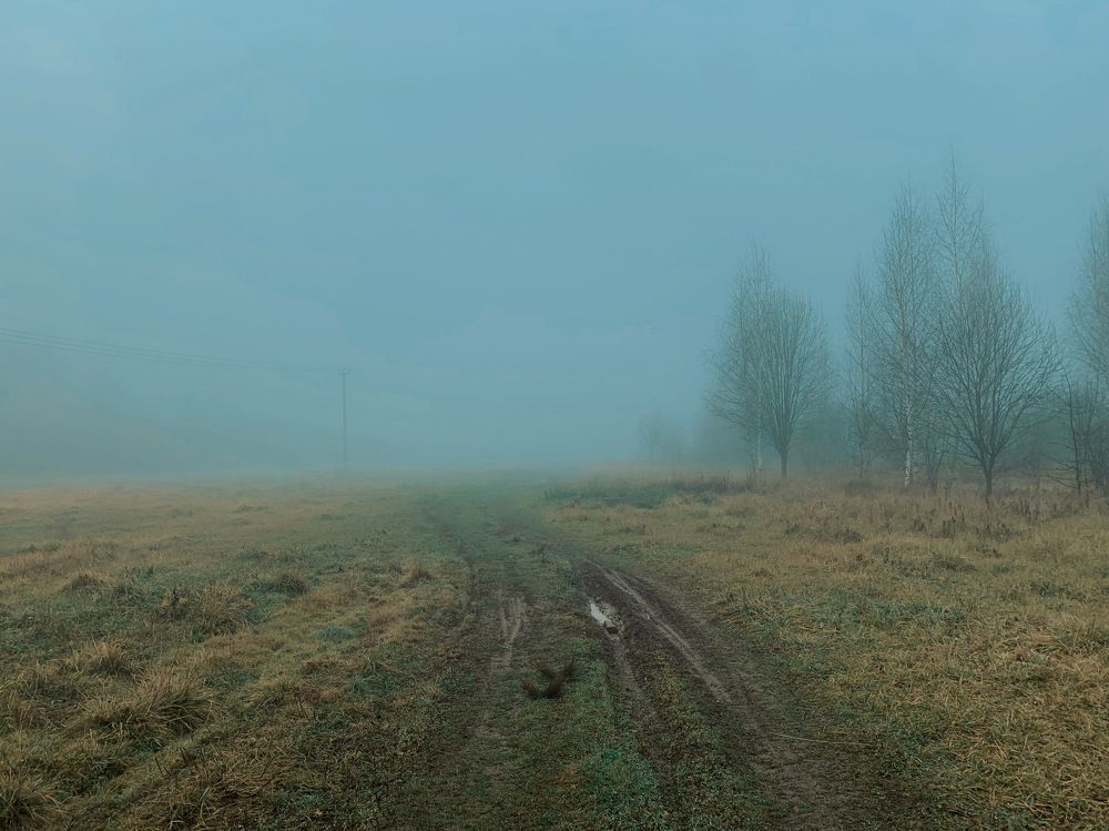 Photograph by Георгий Быковщенко