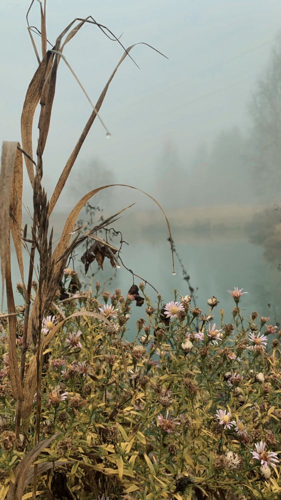 Photograph by Георгий Быковщенко