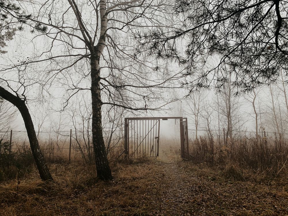 Photograph by Георгий Быковщенко