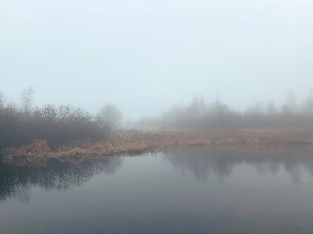 Photograph by Георгий Быковщенко