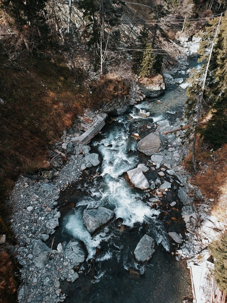Photo #8391427